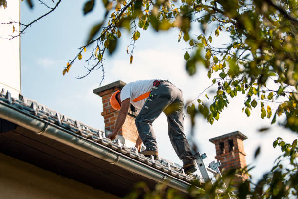 Best Storm Damage Roof Repair  in Angola, NY