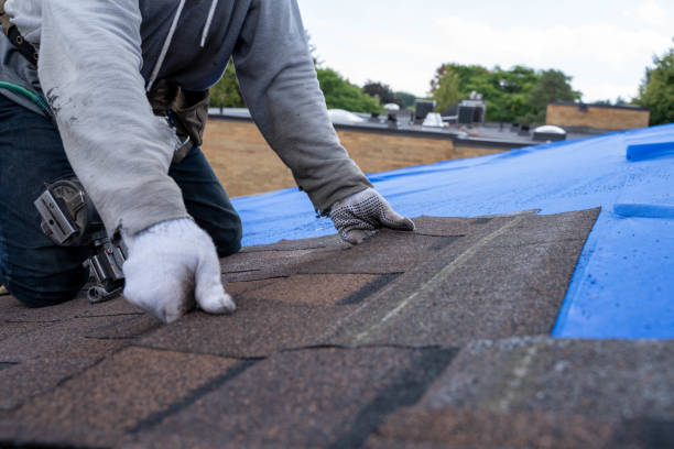 Best Residential Roofing Contractor  in Angola, NY