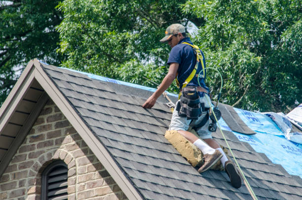 Best Roof Restoration Services  in Angola, NY